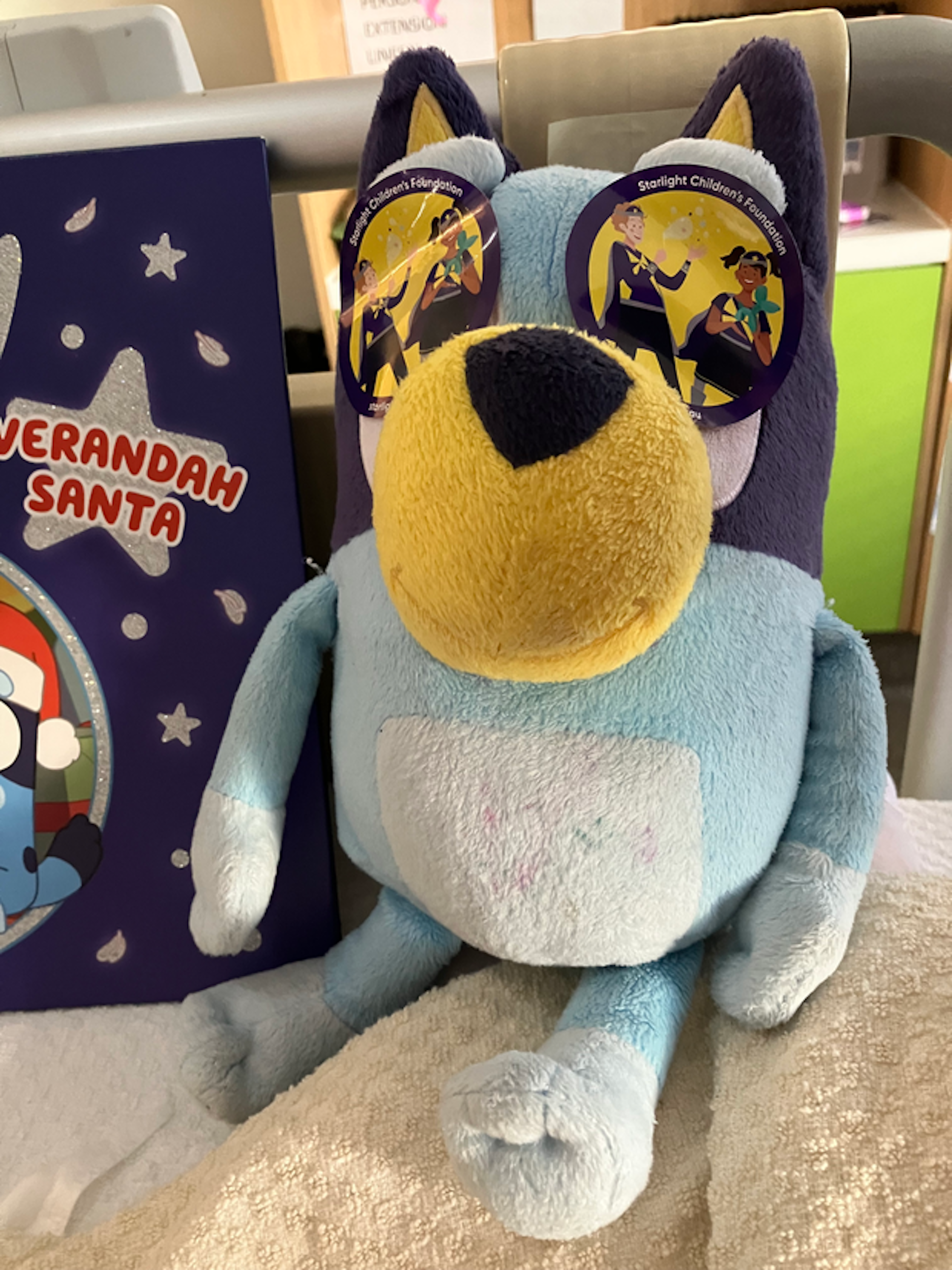 Bluey has new glasses!