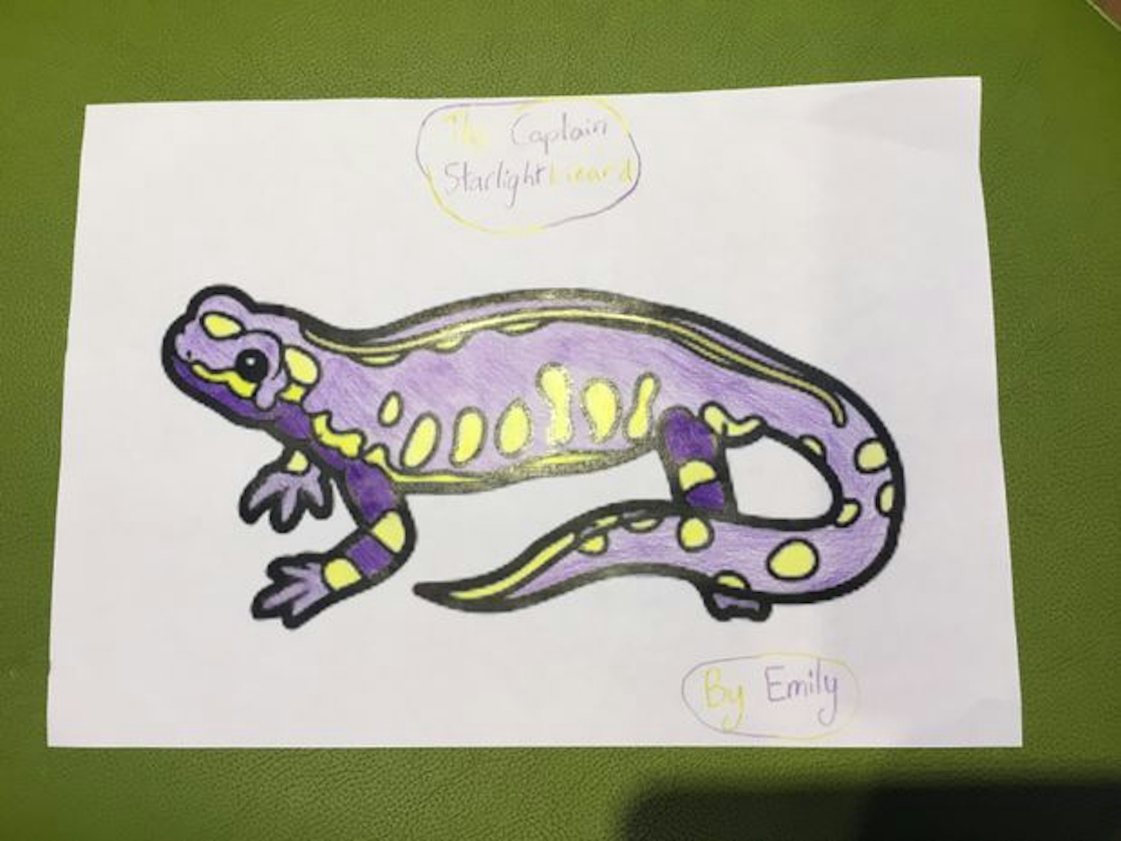 I accepted a challenge from two Starlight Captains and this is the result. I had a lot of fun colouring in the lizard in Starlight colours, and this lizard is also a colouring in from the starlight room. #theStarlightRoomisawesome
