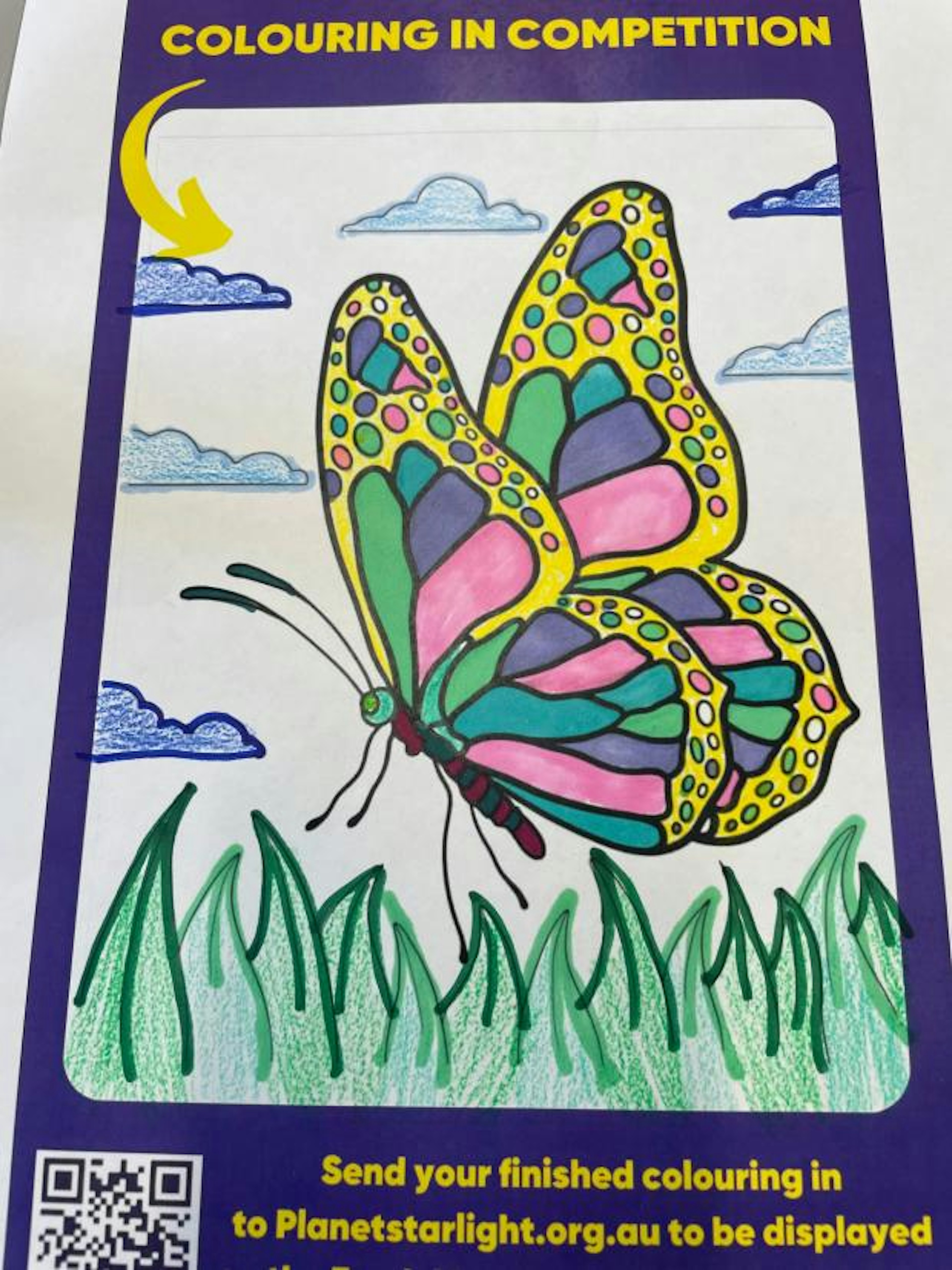 Butterfly picture colouring