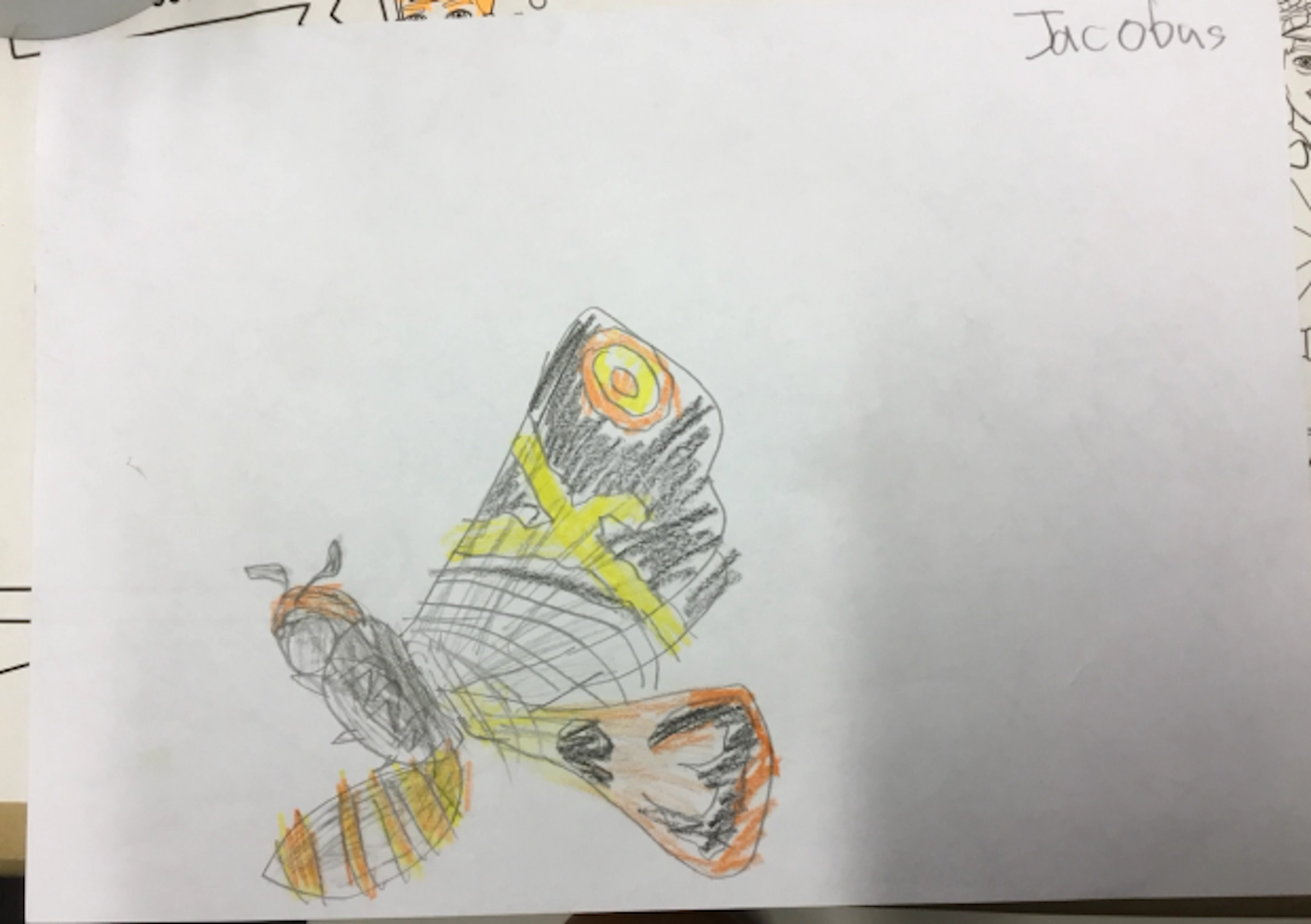 I drew a detailed picture of Showa Mothra